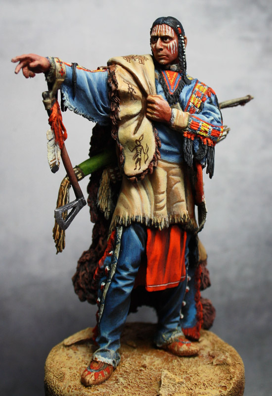 Noble Sioux Warrior